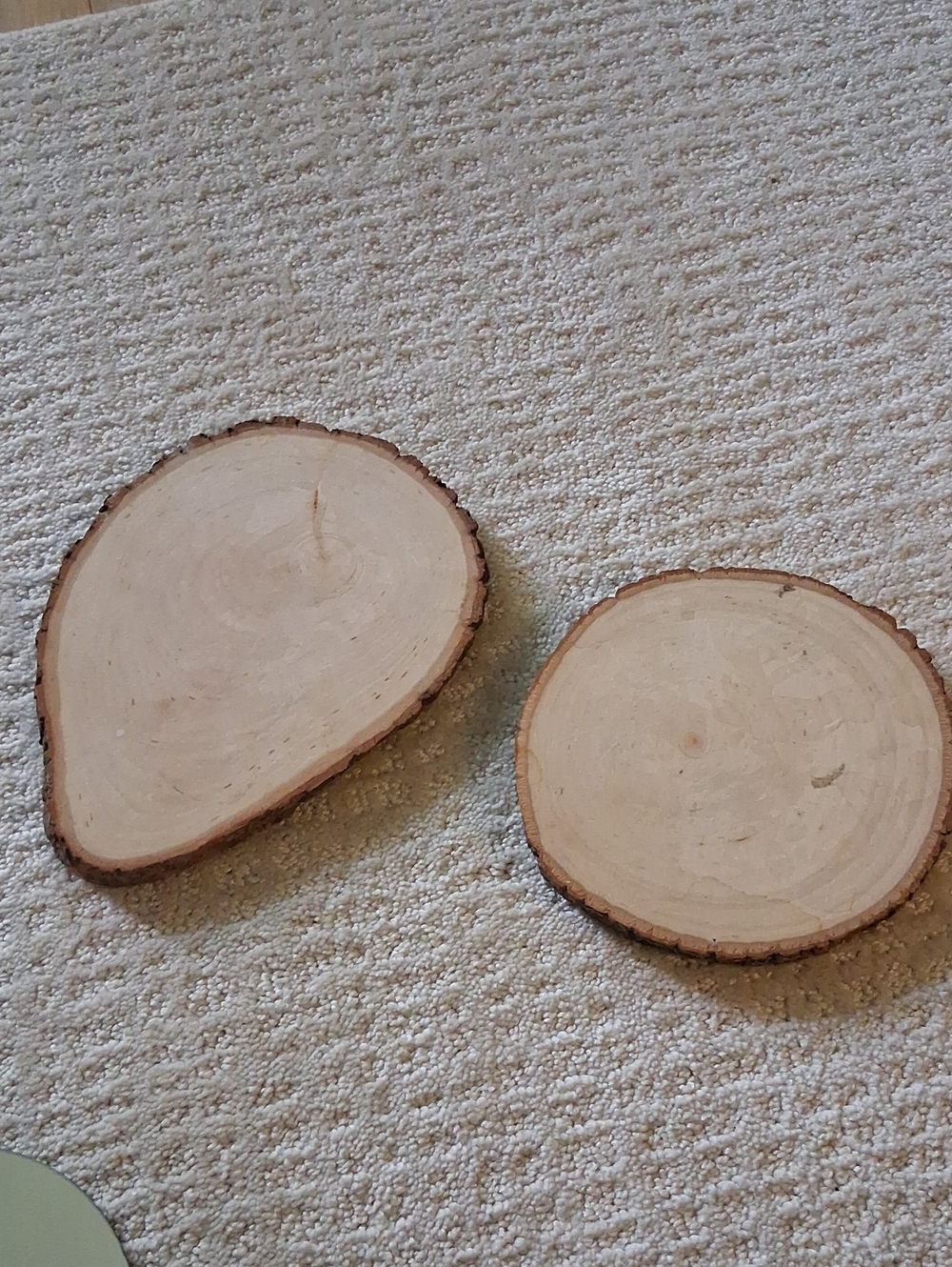 Natural Wood Slice Set - Light Birch Coasters/Decor